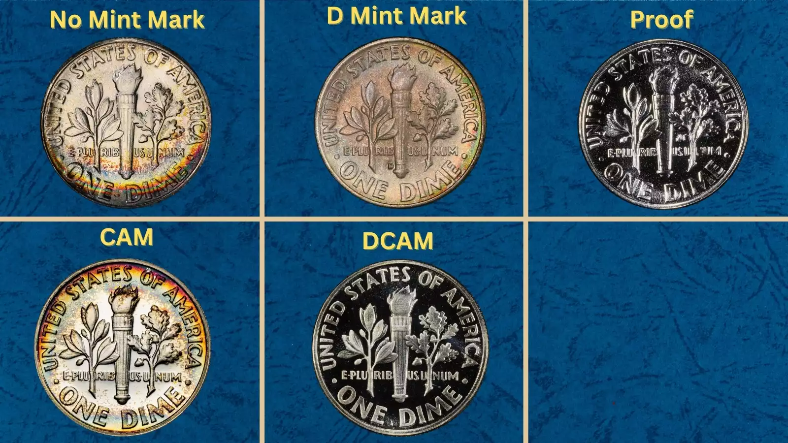 1957 Roosevelt dime collection showing Philadelphia, Denver and Proof examples from the 1957 production year